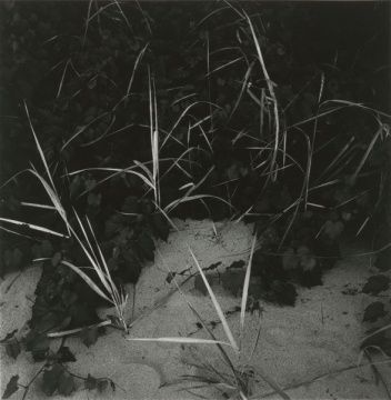 《密歇根湖》 明胶银盐照片 1949